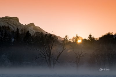 Paysage - Entre patrimoine et paysages